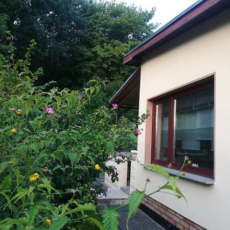 Ferienhaus Am Wald Loissin Екстериор снимка