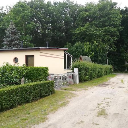 Ferienhaus Am Wald Loissin Екстериор снимка