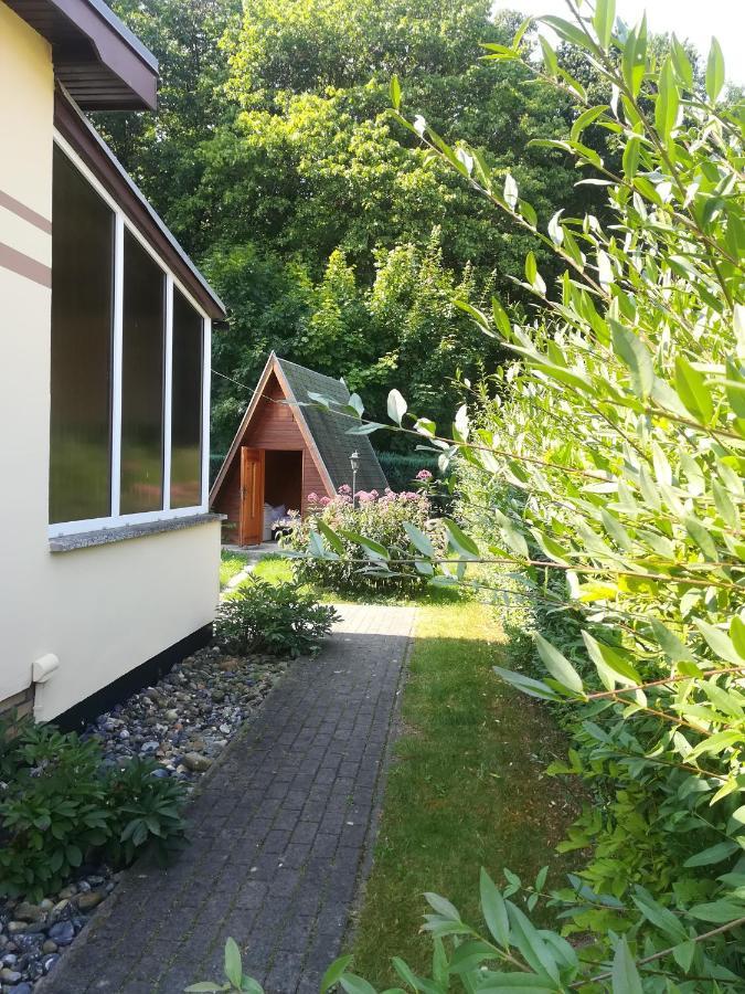 Ferienhaus Am Wald Loissin Екстериор снимка